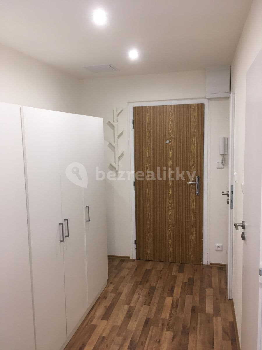 1 bedroom with open-plan kitchen flat to rent, 46 m², Výletní, Prague, Prague 1 bedroom with open-plan kitchen flat to rent, 46 m², Výletní, Prague, Prague