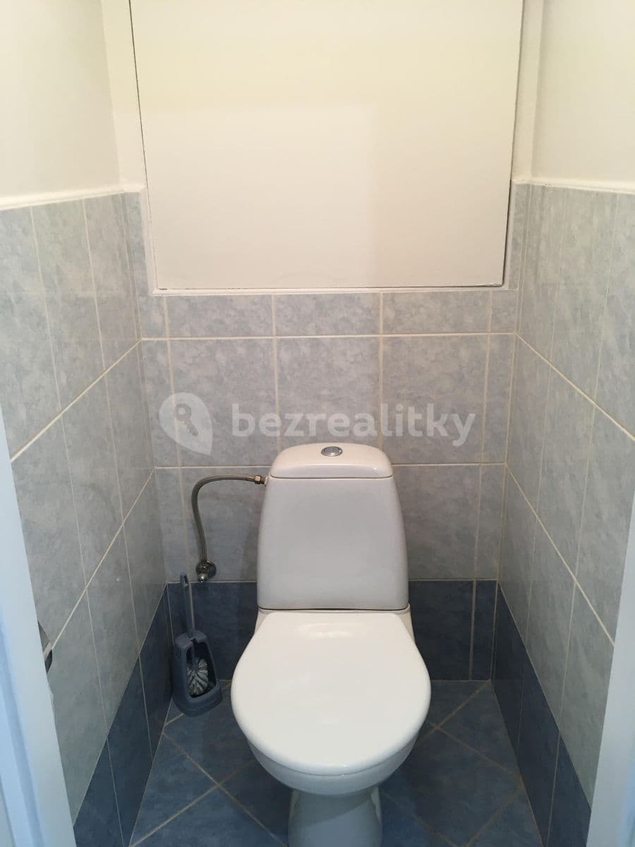 1 bedroom with open-plan kitchen flat to rent, 46 m², Výletní, Prague, Prague 1 bedroom with open-plan kitchen flat to rent, 46 m², Výletní, Prague, Prague