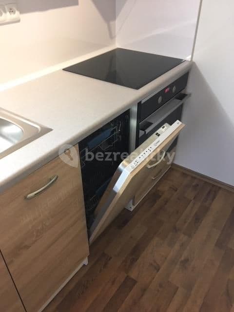 1 bedroom with open-plan kitchen flat to rent, 46 m², Výletní, Prague, Prague 1 bedroom with open-plan kitchen flat to rent, 46 m², Výletní, Prague, Prague