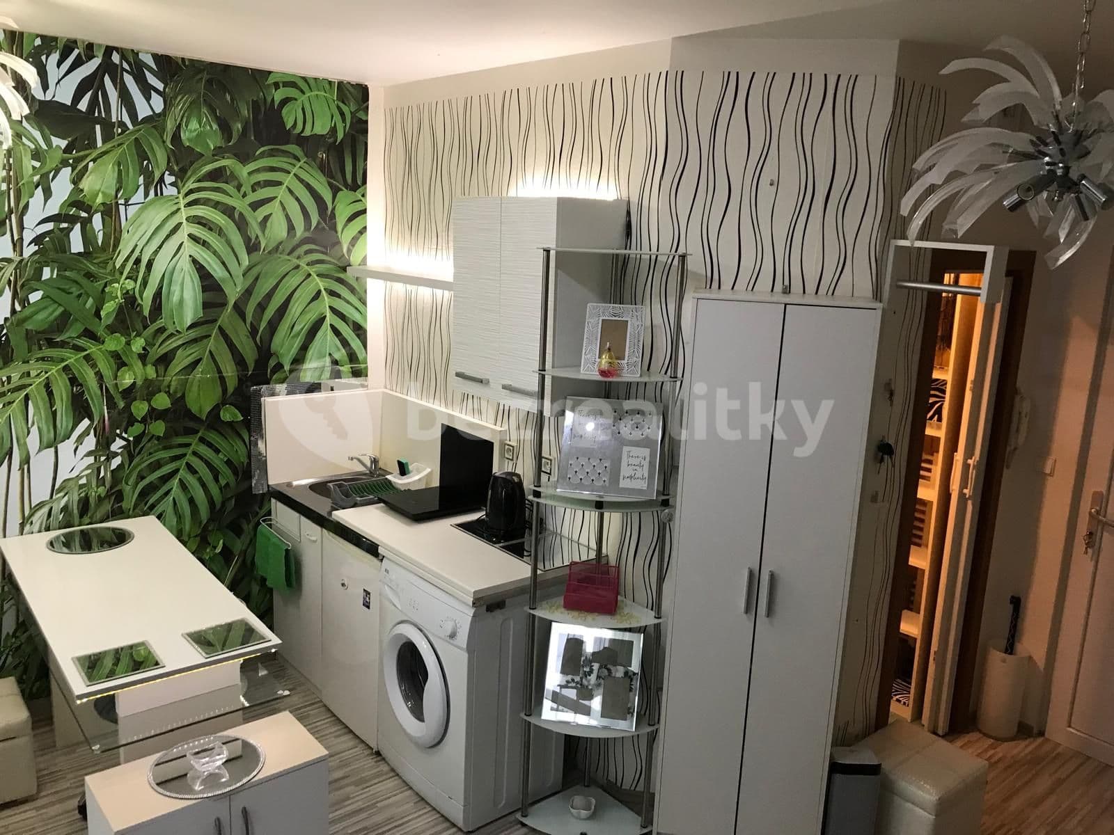 Studio flat to rent, 35 m², Koterovská, Plzeň, Plzeňský Region Studio flat to rent, 35 m², Koterovská, Plzeň, Plzeňský Region