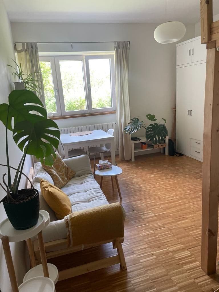 1 bedroom flat to rent, 35 m², U Hadovky, Prague, Prague 1 bedroom flat to rent, 35 m², U Hadovky, Prague, Prague
