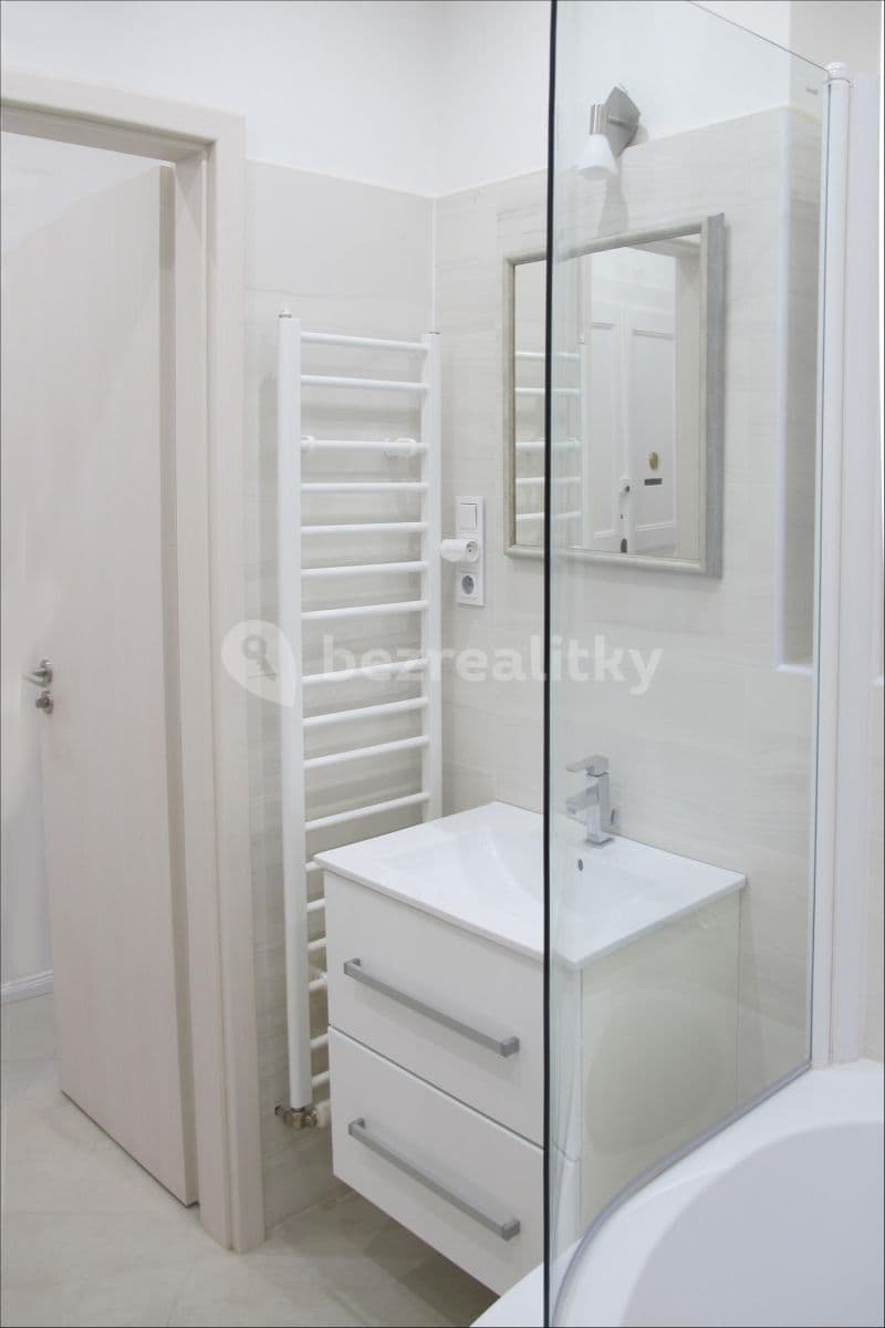 1 bedroom with open-plan kitchen flat to rent, 50 m², Saratovská, Prague, Prague 1 bedroom with open-plan kitchen flat to rent, 50 m², Saratovská, Prague, Prague
