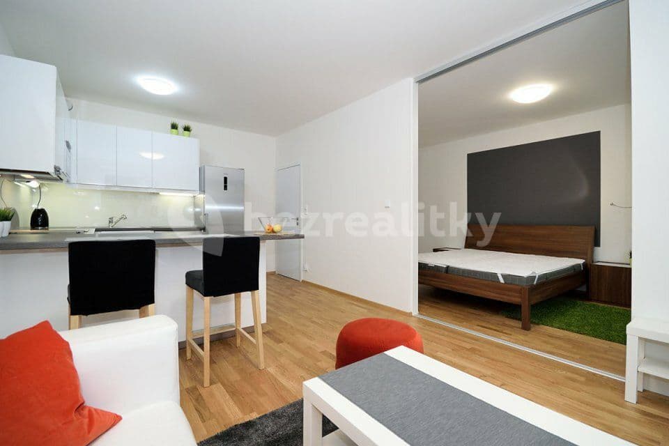 1 bedroom with open-plan kitchen flat to rent, 53 m², Makedonská, Prague, Prague 1 bedroom with open-plan kitchen flat to rent, 53 m², Makedonská, Prague, Prague