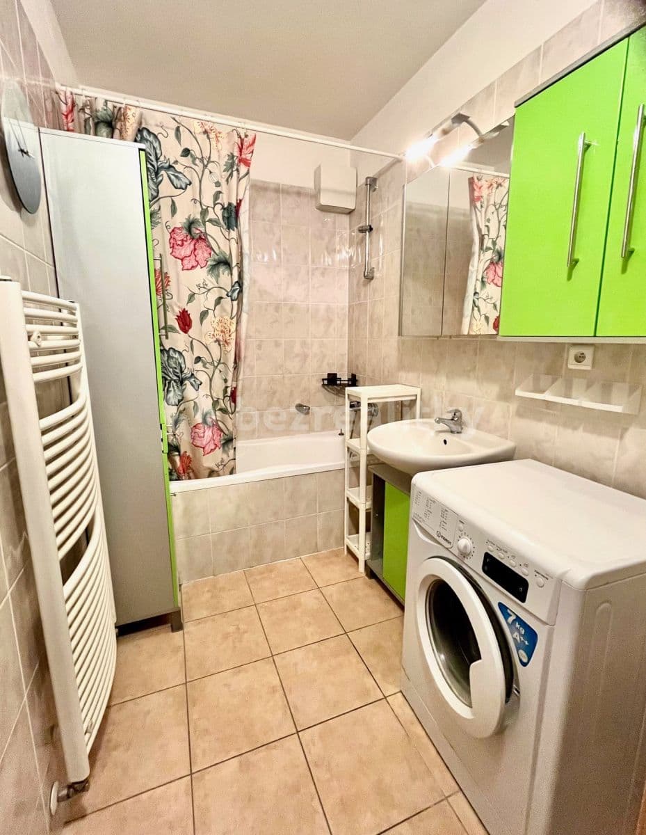 1 bedroom with open-plan kitchen flat to rent, 50 m², Černochova, Prague, Prague 1 bedroom with open-plan kitchen flat to rent, 50 m², Černochova, Prague, Prague