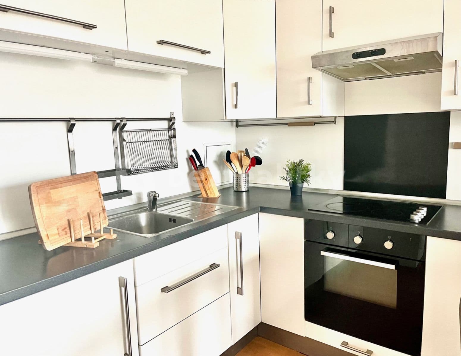 1 bedroom with open-plan kitchen flat to rent, 50 m², Černochova, Prague, Prague 1 bedroom with open-plan kitchen flat to rent, 50 m², Černochova, Prague, Prague