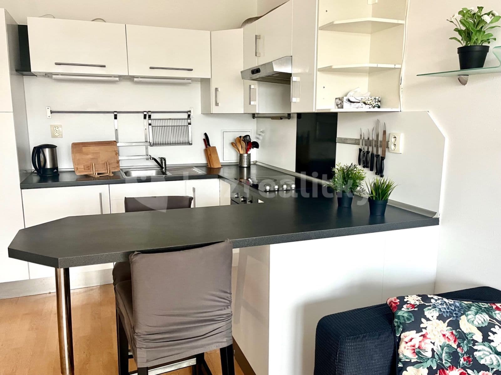 1 bedroom with open-plan kitchen flat to rent, 50 m², Černochova, Prague, Prague 1 bedroom with open-plan kitchen flat to rent, 50 m², Černochova, Prague, Prague