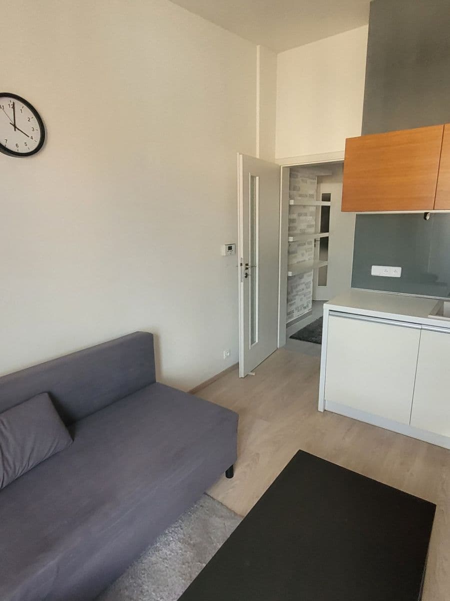 1 bedroom with open-plan kitchen flat to rent, 43 m², Rečkova, Prague, Prague 1 bedroom with open-plan kitchen flat to rent, 43 m², Rečkova, Prague, Prague