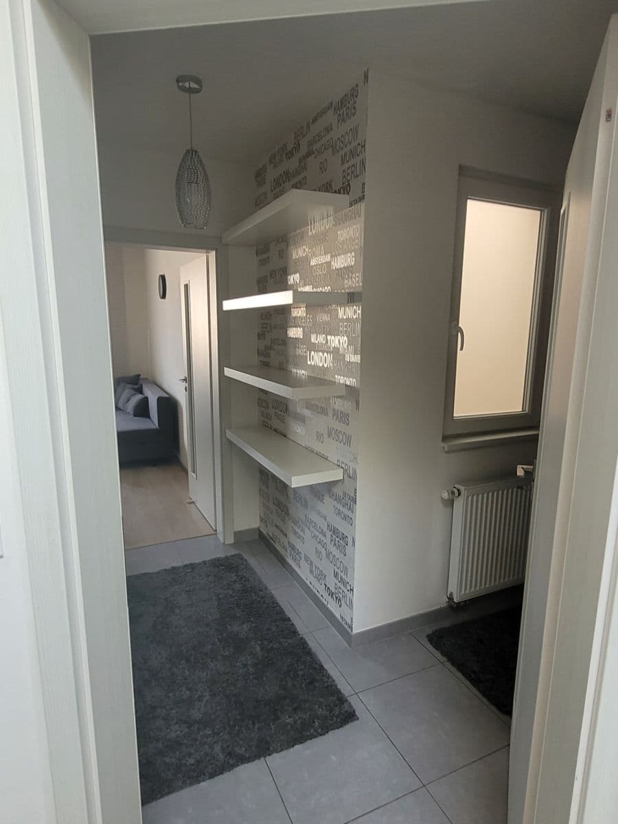 1 bedroom with open-plan kitchen flat to rent, 43 m², Rečkova, Prague, Prague 1 bedroom with open-plan kitchen flat to rent, 43 m², Rečkova, Prague, Prague