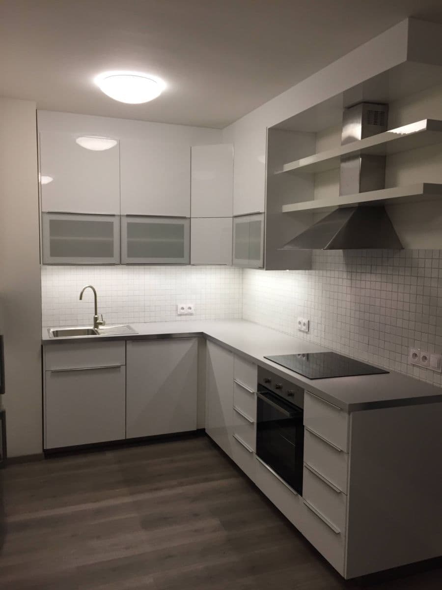1 bedroom with open-plan kitchen flat to rent, 55 m², Barvitiova, Prague, Prague 1 bedroom with open-plan kitchen flat to rent, 55 m², Barvitiova, Prague, Prague