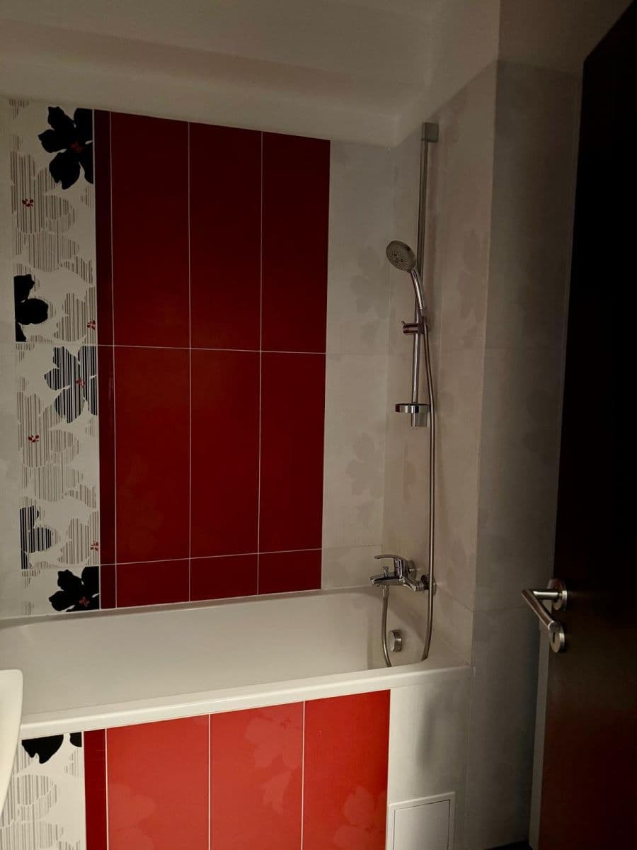 1 bedroom with open-plan kitchen flat to rent, 50 m², Na Vysočanských vinicích, Prague, Prague 1 bedroom with open-plan kitchen flat to rent, 50 m², Na Vysočanských vinicích, Prague, Prague