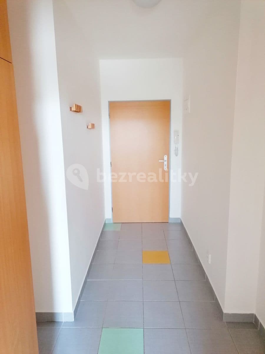Studio flat to rent, 41 m², Neklež, Brno, Jihomoravský Region Studio flat to rent, 41 m², Neklež, Brno, Jihomoravský Region