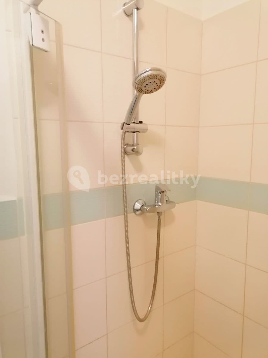 Studio flat to rent, 41 m², Neklež, Brno, Jihomoravský Region Studio flat to rent, 41 m², Neklež, Brno, Jihomoravský Region