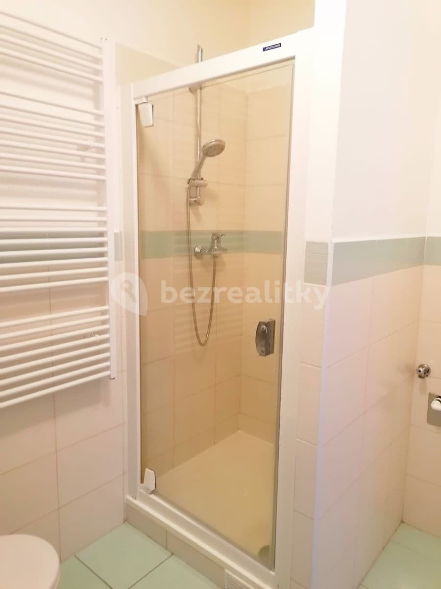 Studio flat to rent, 41 m², Neklež, Brno, Jihomoravský Region Studio flat to rent, 41 m², Neklež, Brno, Jihomoravský Region