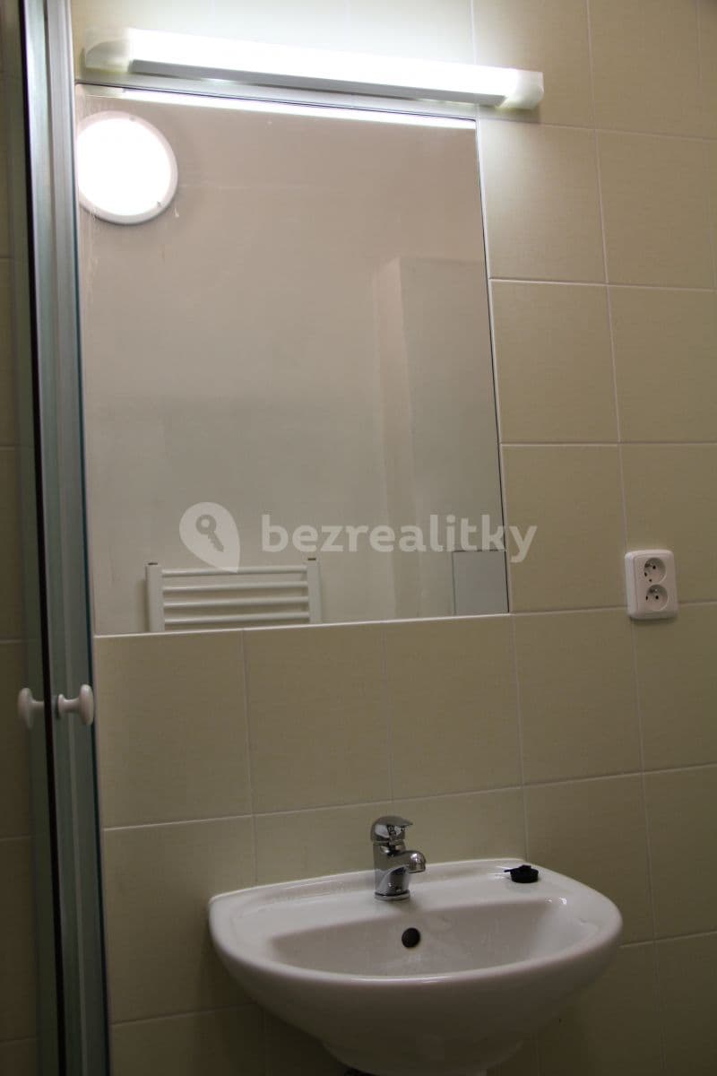 Small studio flat to rent, 27 m², náměstí Hrdinů, Prague, Prague Small studio flat to rent, 27 m², náměstí Hrdinů, Prague, Prague