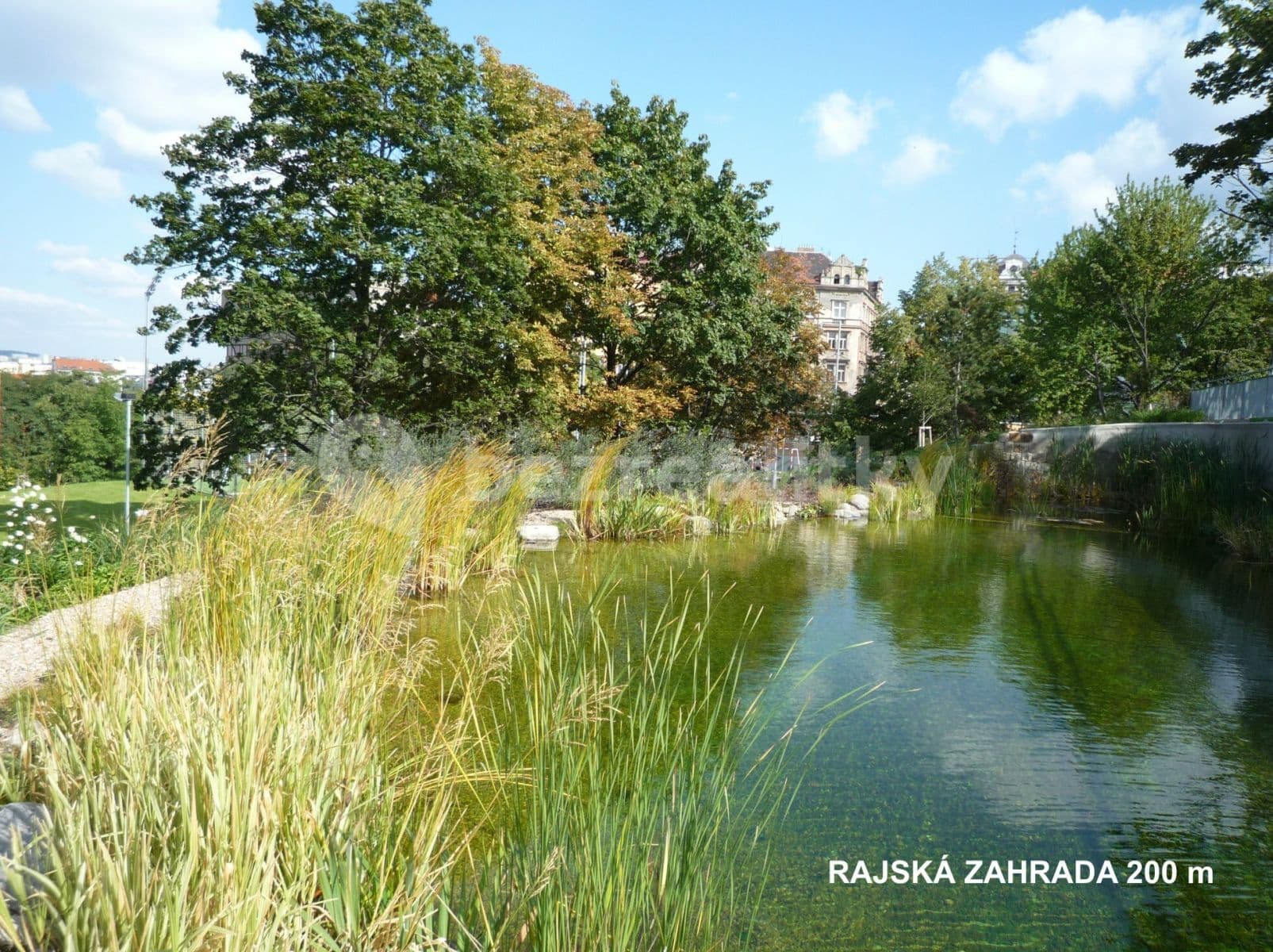 1 bedroom with open-plan kitchen flat to rent, 37 m², Ježkova, Prague, Prague 1 bedroom with open-plan kitchen flat to rent, 37 m², Ježkova, Prague, Prague