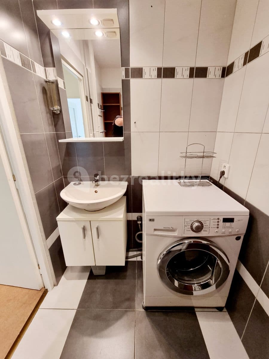 1 bedroom with open-plan kitchen flat to rent, 54 m², Bělocerkevská, Prague, Prague 1 bedroom with open-plan kitchen flat to rent, 54 m², Bělocerkevská, Prague, Prague