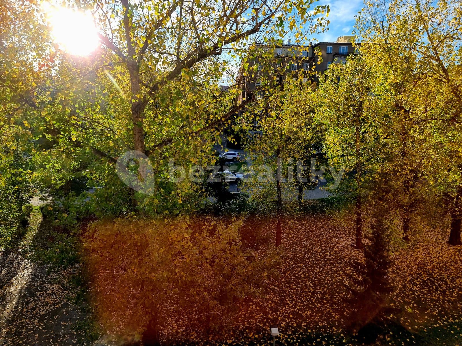 1 bedroom with open-plan kitchen flat to rent, 54 m², Bělocerkevská, Prague, Prague 1 bedroom with open-plan kitchen flat to rent, 54 m², Bělocerkevská, Prague, Prague