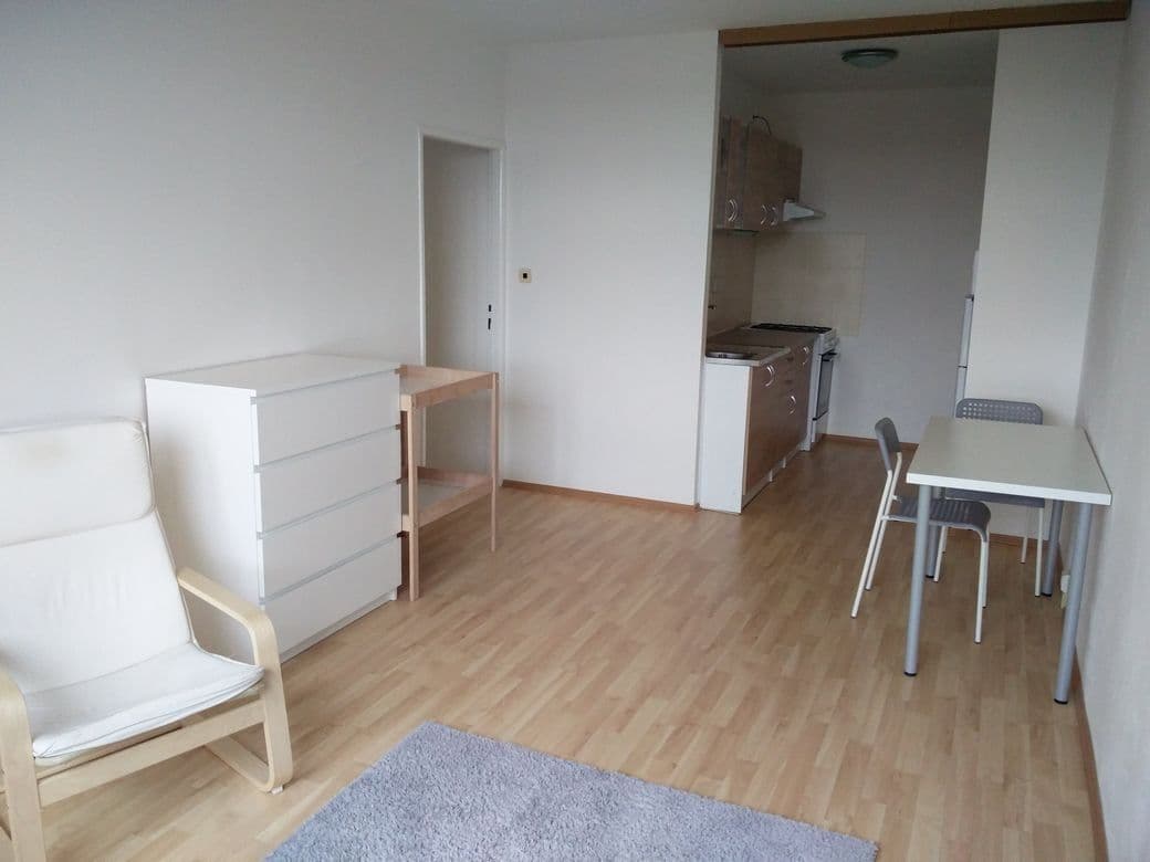1 bedroom with open-plan kitchen flat to rent, 45 m², Steinerova, Prague, Prague 1 bedroom with open-plan kitchen flat to rent, 45 m², Steinerova, Prague, Prague