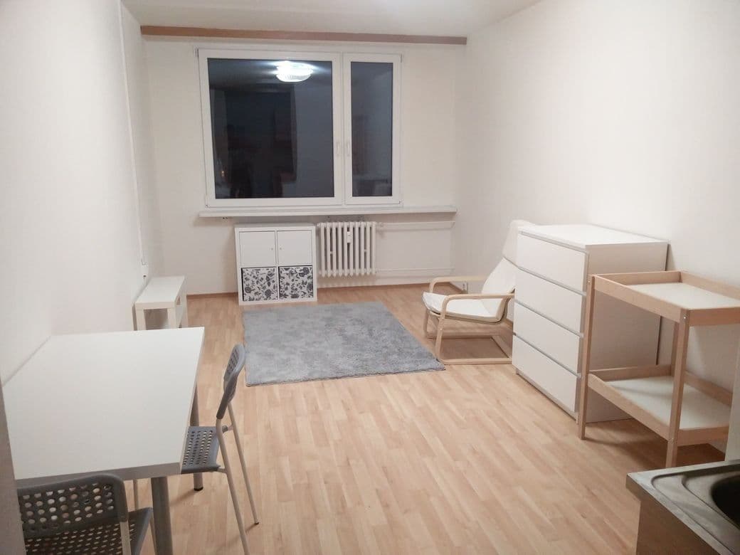 1 bedroom with open-plan kitchen flat to rent, 45 m², Steinerova, Prague, Prague 1 bedroom with open-plan kitchen flat to rent, 45 m², Steinerova, Prague, Prague
