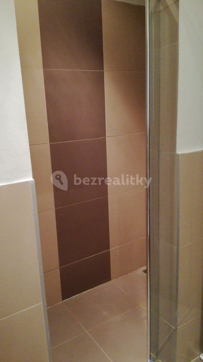 1 bedroom flat to rent, 32 m², Lucemburská, Prague, Prague 1 bedroom flat to rent, 32 m², Lucemburská, Prague, Prague