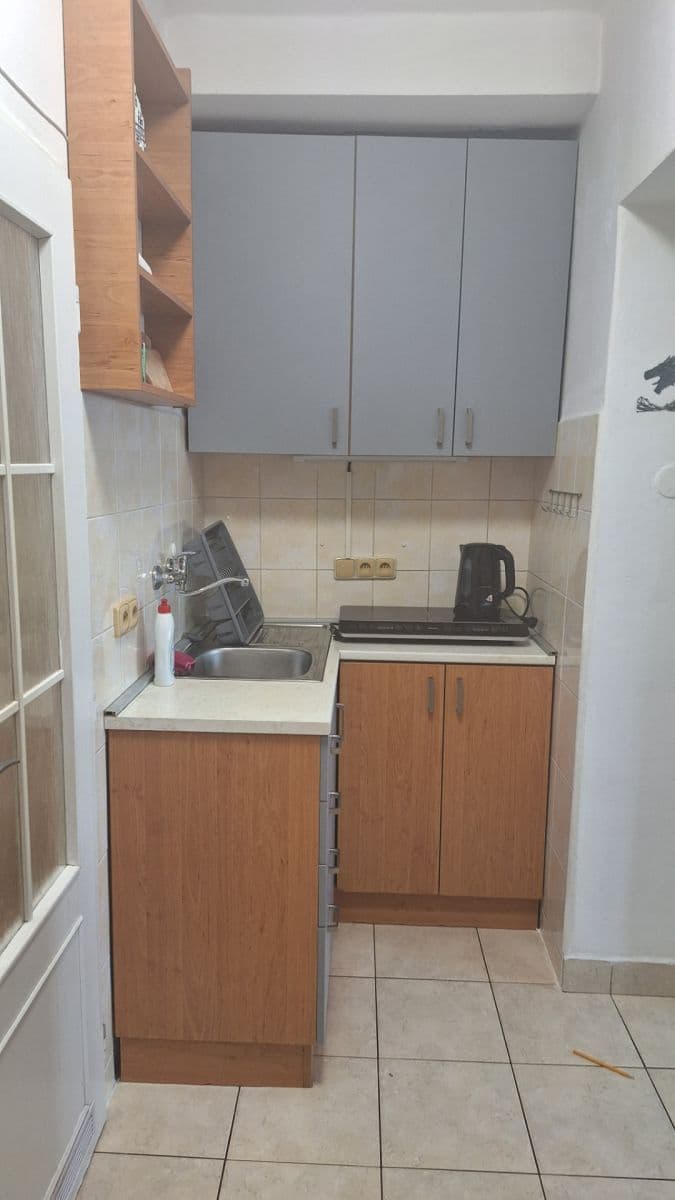 Studio flat to rent, 26 m², Borská, Plzeň, Plzeňský Region Studio flat to rent, 26 m², Borská, Plzeň, Plzeňský Region