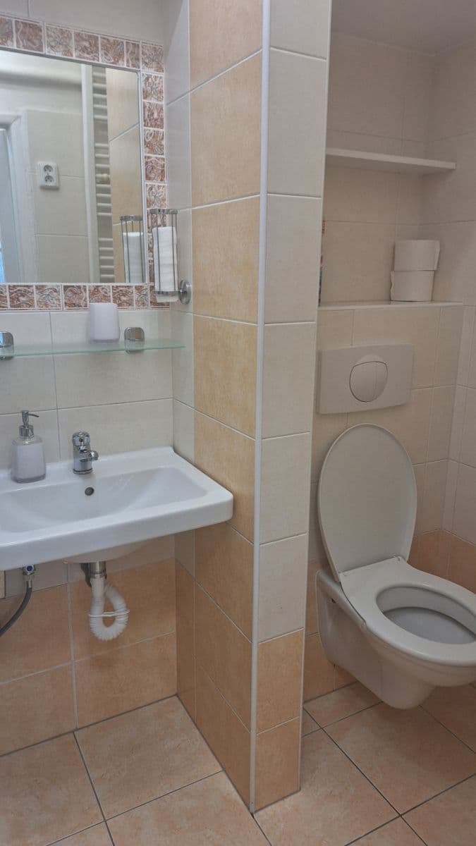 Studio flat to rent, 26 m², Borská, Plzeň, Plzeňský Region Studio flat to rent, 26 m², Borská, Plzeň, Plzeňský Region