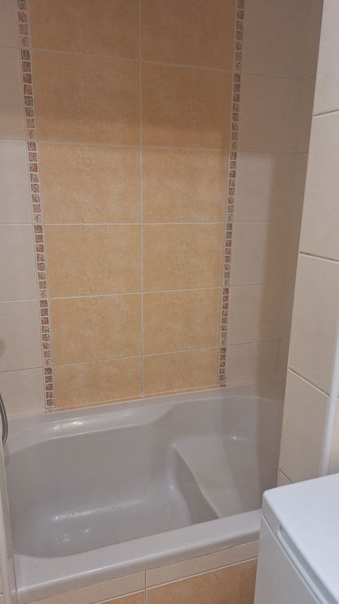 Studio flat to rent, 26 m², Borská, Plzeň, Plzeňský Region Studio flat to rent, 26 m², Borská, Plzeň, Plzeňský Region