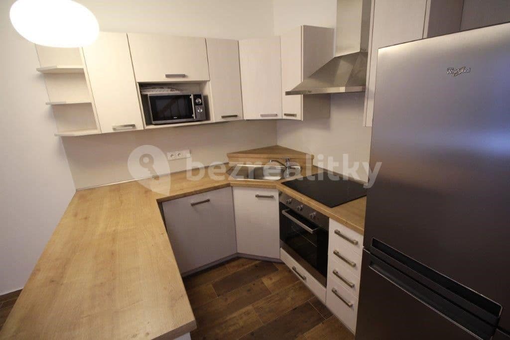2 bedroom with open-plan kitchen flat to rent, 56 m², Plzeňská, Prague, Prague 2 bedroom with open-plan kitchen flat to rent, 56 m², Plzeňská, Prague, Prague
