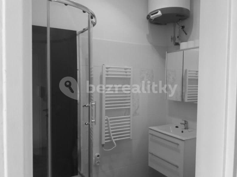 Small studio flat to rent, 22 m², Pod Karlovarskou silnicí, Prague, Prague Small studio flat to rent, 22 m², Pod Karlovarskou silnicí, Prague, Prague