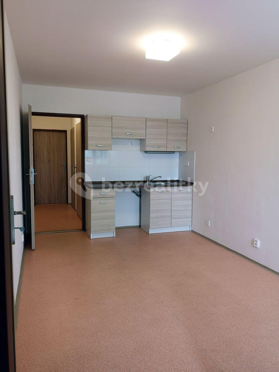1 bedroom with open-plan kitchen flat to rent, 45 m², Dolní Kasárna, Klecany, Středočeský Region