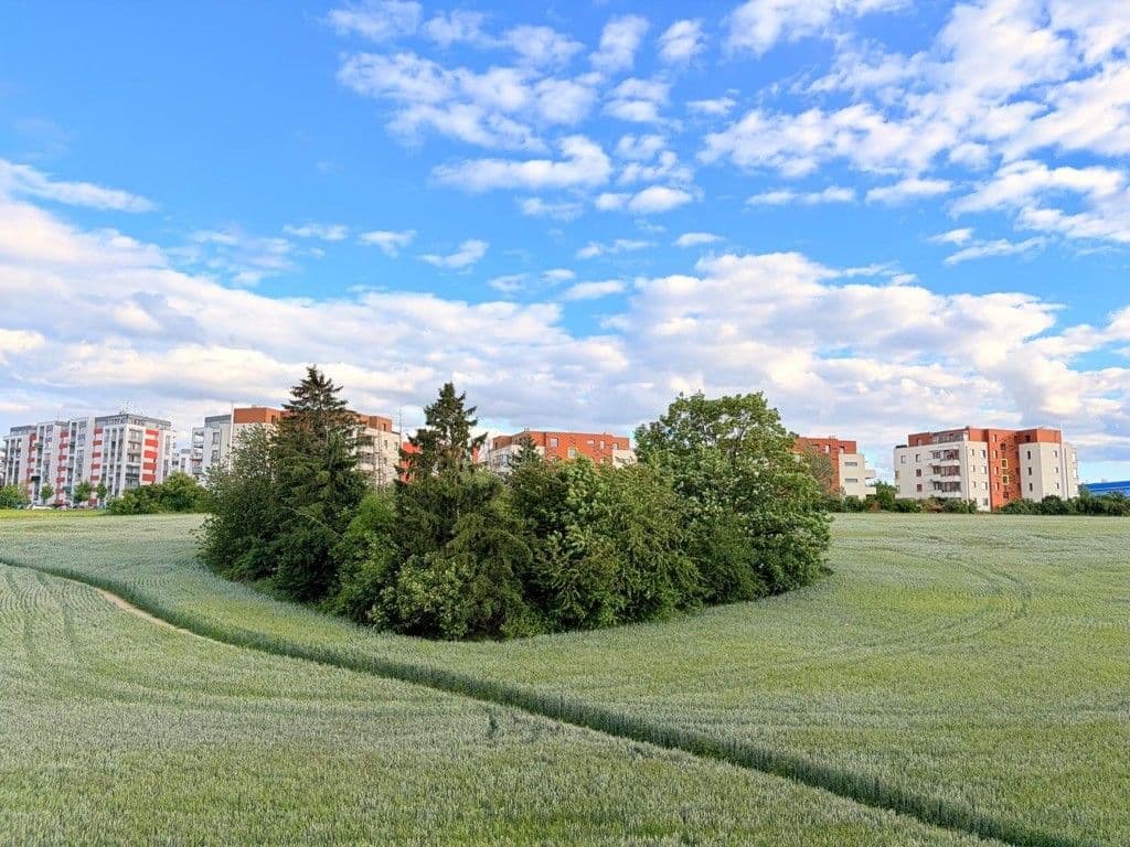 2 bedroom with open-plan kitchen flat to rent, 78 m², Lipovská, Prague, Prague 2 bedroom with open-plan kitchen flat to rent, 78 m², Lipovská, Prague, Prague