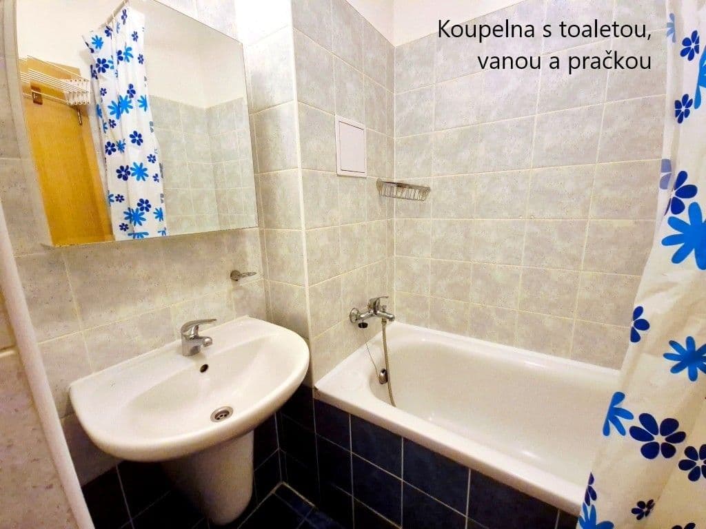 1 bedroom with open-plan kitchen flat to rent, 46 m², Místecká, Prague, Prague 1 bedroom with open-plan kitchen flat to rent, 46 m², Místecká, Prague, Prague