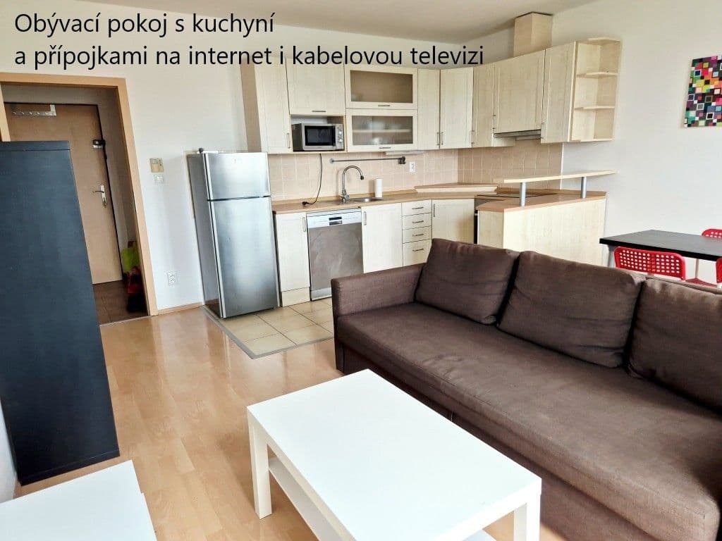 1 bedroom with open-plan kitchen flat to rent, 46 m², Místecká, Prague, Prague 1 bedroom with open-plan kitchen flat to rent, 46 m², Místecká, Prague, Prague