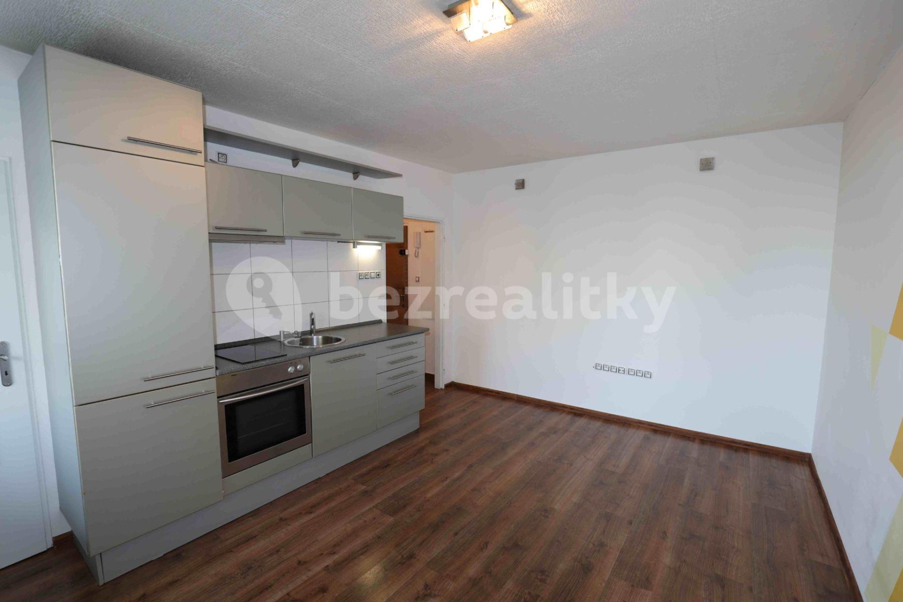 1 bedroom with open-plan kitchen flat to rent, 33 m², Podle Kačerova, Prague, Prague