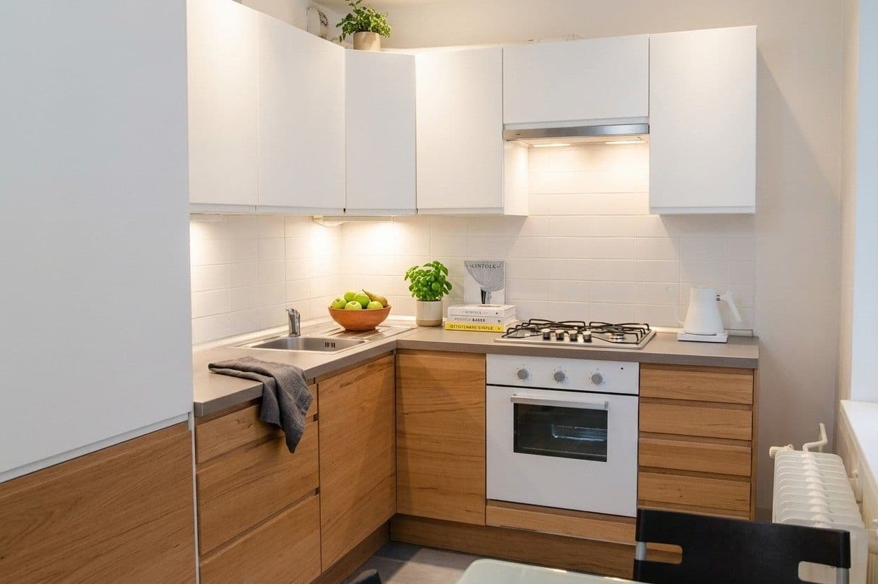 1 bedroom with open-plan kitchen flat to rent, 41 m², Mezipolí, Prague, Prague 1 bedroom with open-plan kitchen flat to rent, 41 m², Mezipolí, Prague, Prague