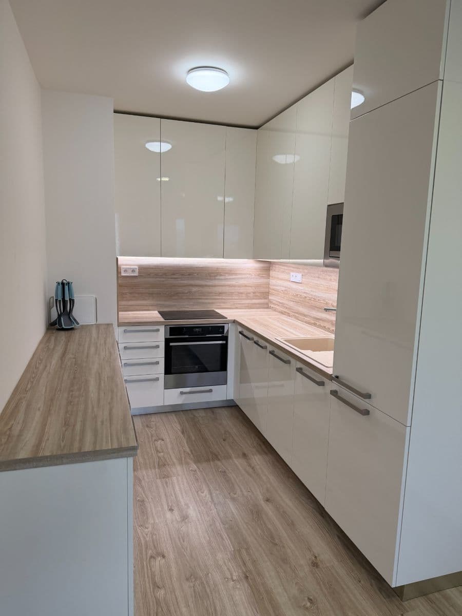 1 bedroom with open-plan kitchen flat to rent, 65 m², Granitova, Prague, Prague 1 bedroom with open-plan kitchen flat to rent, 65 m², Granitova, Prague, Prague