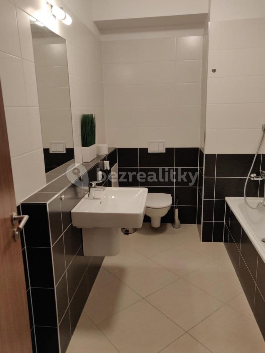 1 bedroom with open-plan kitchen flat to rent, 50 m², Makedonská, Prague, Prague 1 bedroom with open-plan kitchen flat to rent, 50 m², Makedonská, Prague, Prague