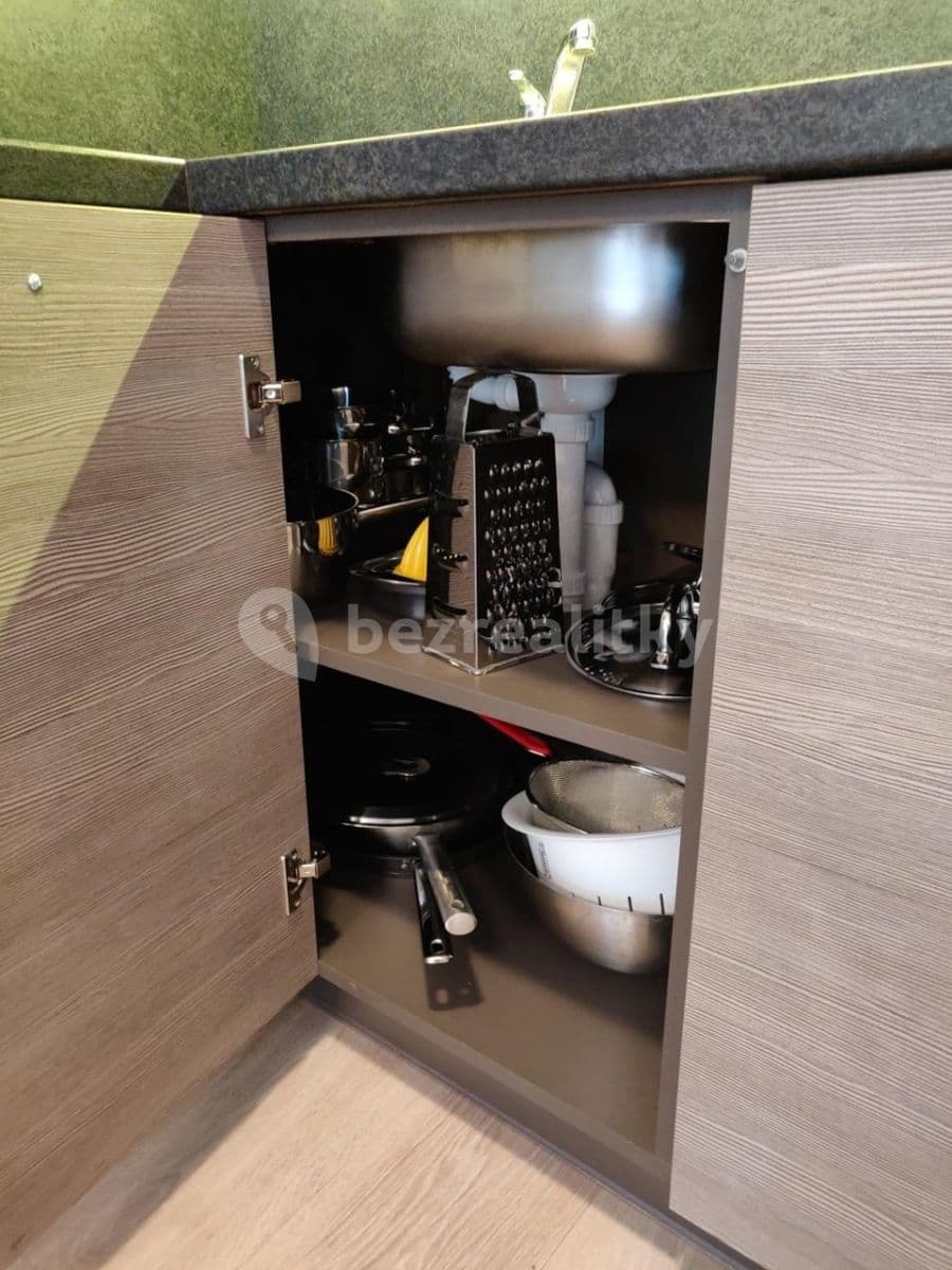 1 bedroom with open-plan kitchen flat to rent, 50 m², Makedonská, Prague, Prague 1 bedroom with open-plan kitchen flat to rent, 50 m², Makedonská, Prague, Prague