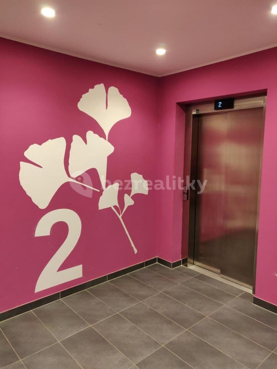 1 bedroom with open-plan kitchen flat to rent, 50 m², Makedonská, Prague, Prague 1 bedroom with open-plan kitchen flat to rent, 50 m², Makedonská, Prague, Prague