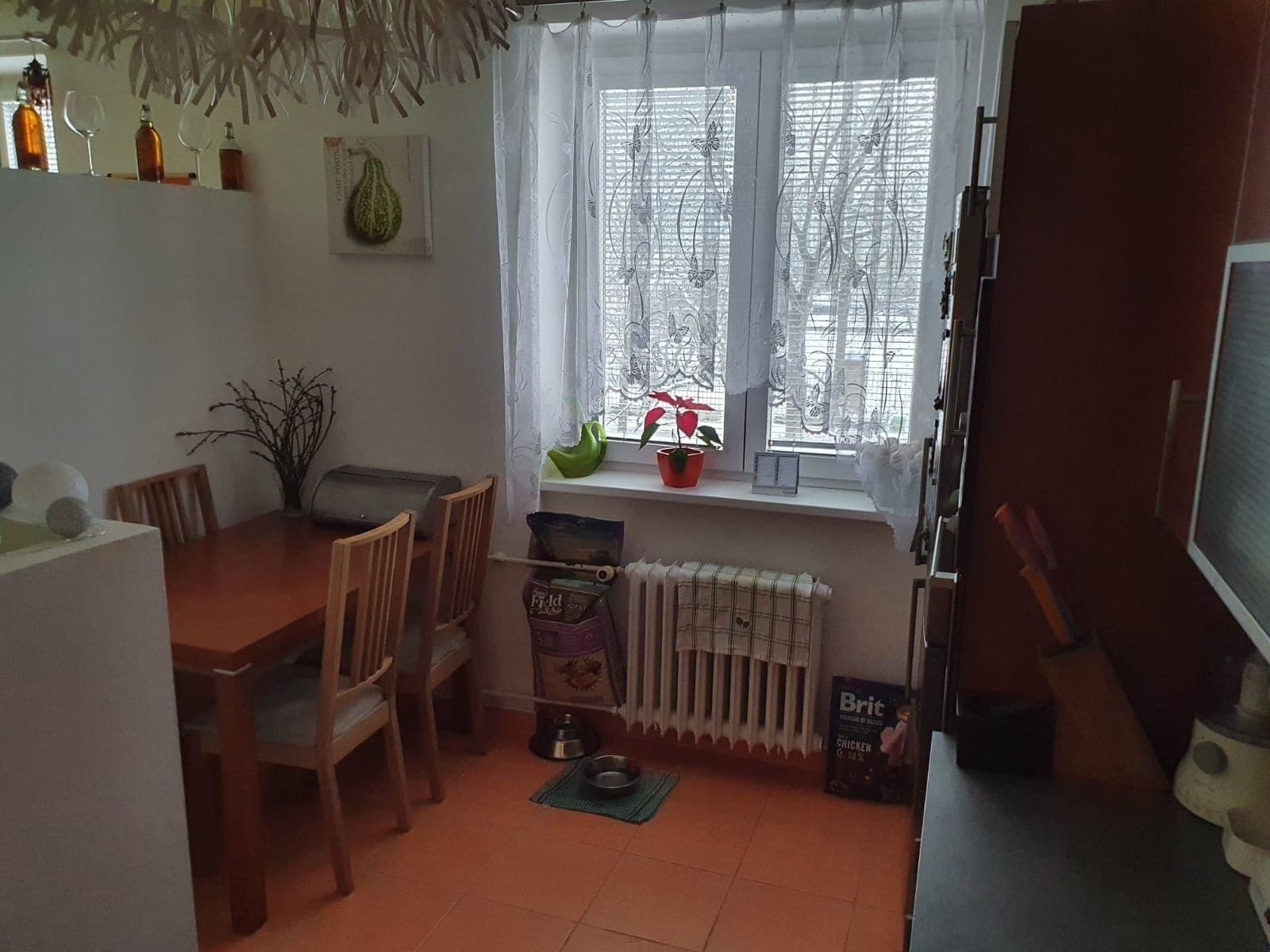 2 bedroom with open-plan kitchen flat to rent, 79 m², Francouzská třída, Plzeň, Plzeňský Region 2 bedroom with open-plan kitchen flat to rent, 79 m², Francouzská třída, Plzeň, Plzeňský Region