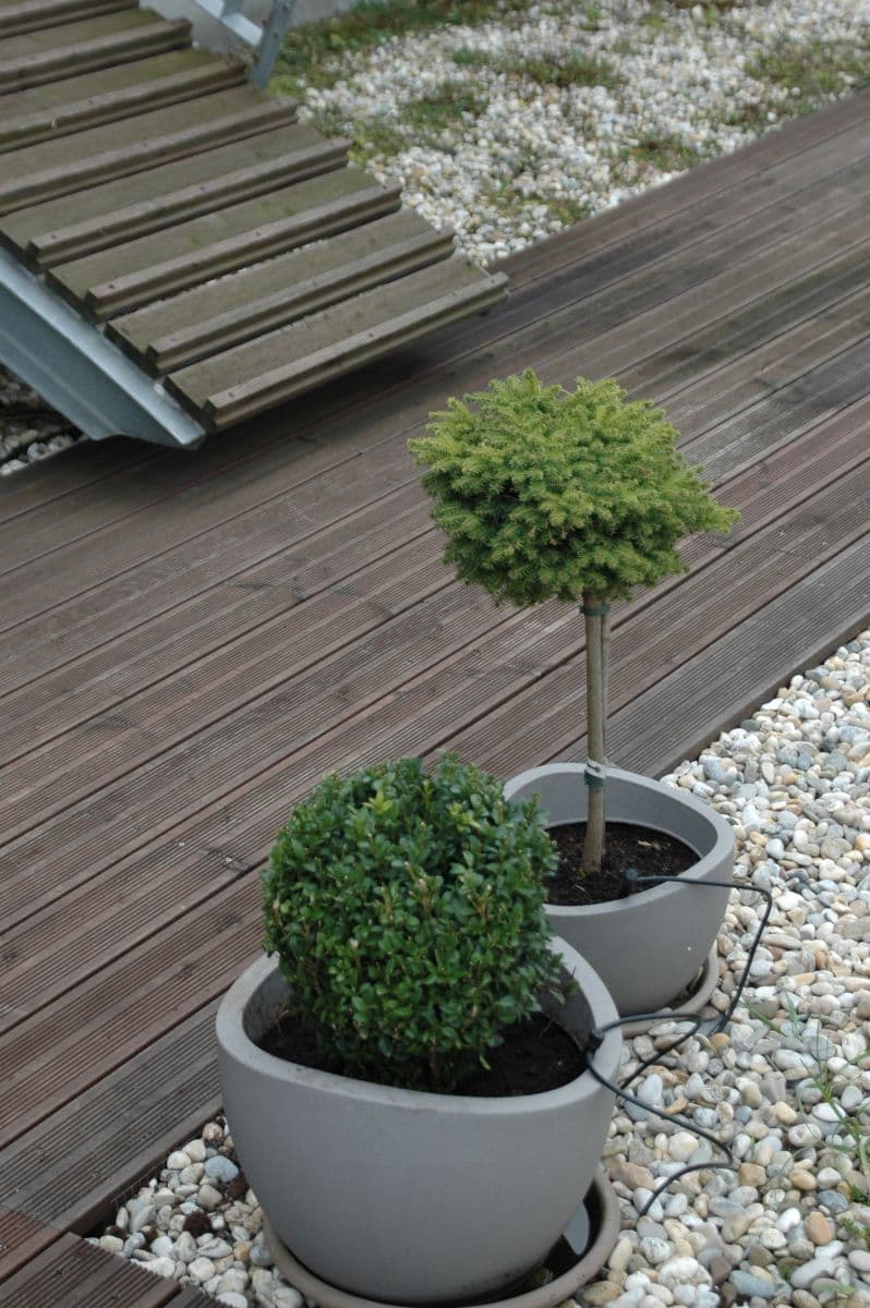 2 bedroom with open-plan kitchen flat to rent, 75 m², Hegerova, Ostrava, Moravskoslezský Region 2 bedroom with open-plan kitchen flat to rent, 75 m², Hegerova, Ostrava, Moravskoslezský Region