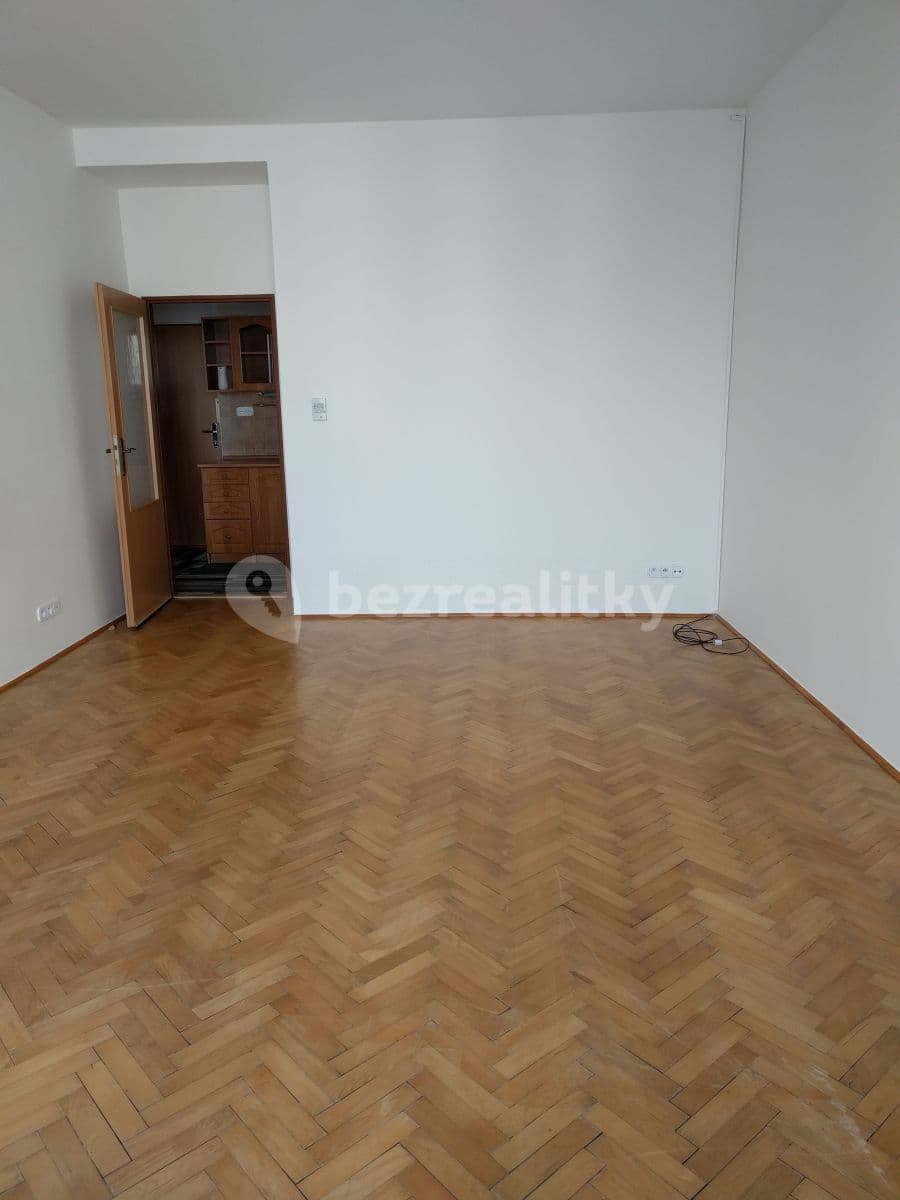 1 bedroom with open-plan kitchen flat to rent, 49 m², Dolní, Prague, Prague 1 bedroom with open-plan kitchen flat to rent, 49 m², Dolní, Prague, Prague