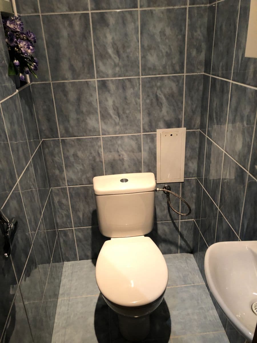 1 bedroom with open-plan kitchen flat to rent, 49 m², Dolní, Prague, Prague 1 bedroom with open-plan kitchen flat to rent, 49 m², Dolní, Prague, Prague