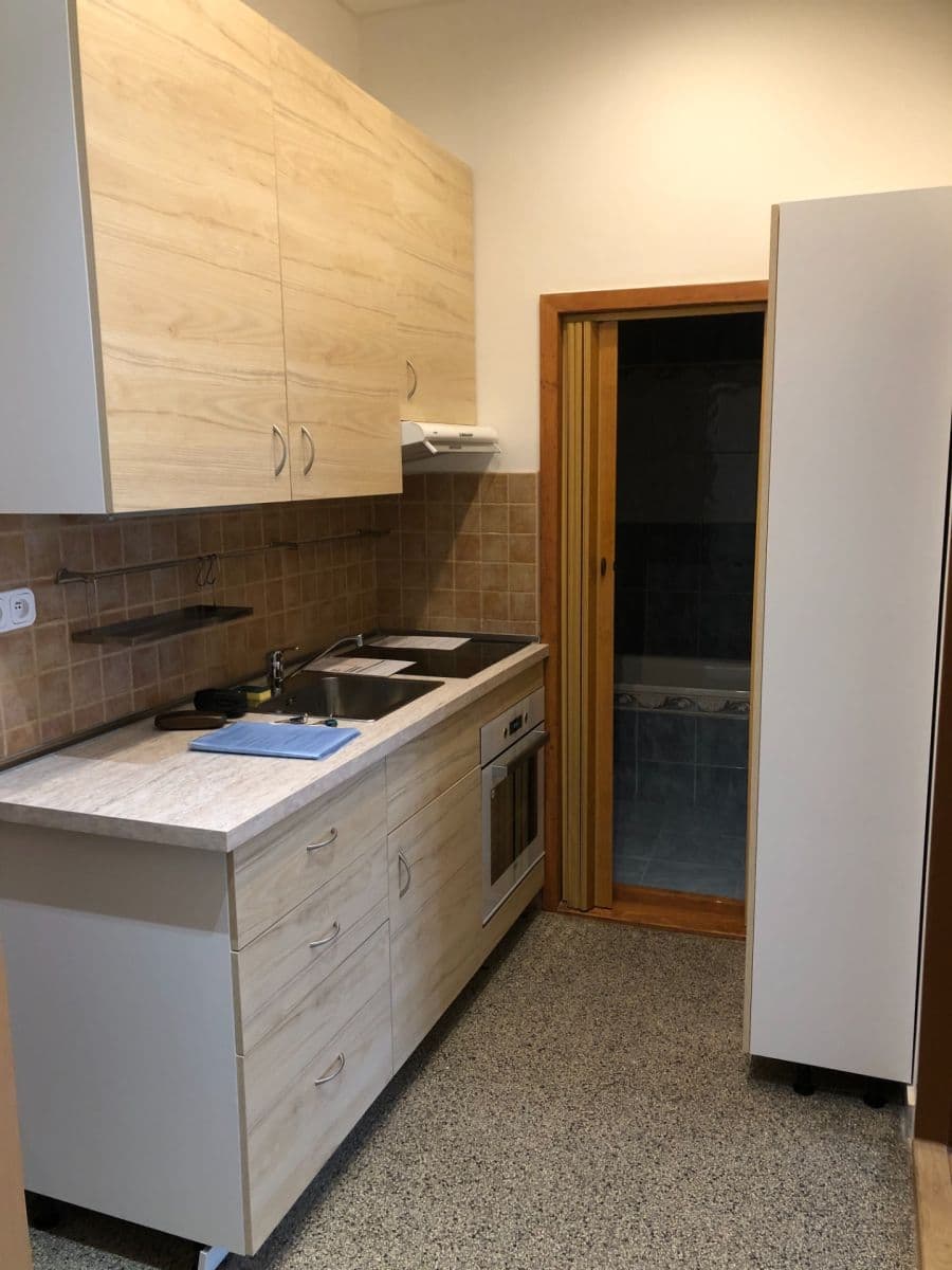 1 bedroom with open-plan kitchen flat to rent, 49 m², Dolní, Prague, Prague 1 bedroom with open-plan kitchen flat to rent, 49 m², Dolní, Prague, Prague