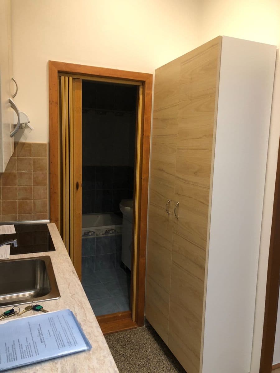 1 bedroom with open-plan kitchen flat to rent, 49 m², Dolní, Prague, Prague 1 bedroom with open-plan kitchen flat to rent, 49 m², Dolní, Prague, Prague
