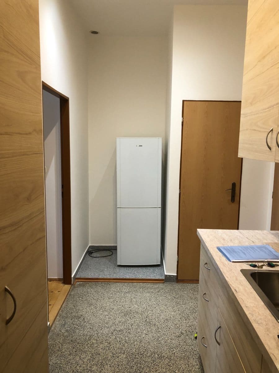 1 bedroom with open-plan kitchen flat to rent, 49 m², Dolní, Prague, Prague 1 bedroom with open-plan kitchen flat to rent, 49 m², Dolní, Prague, Prague