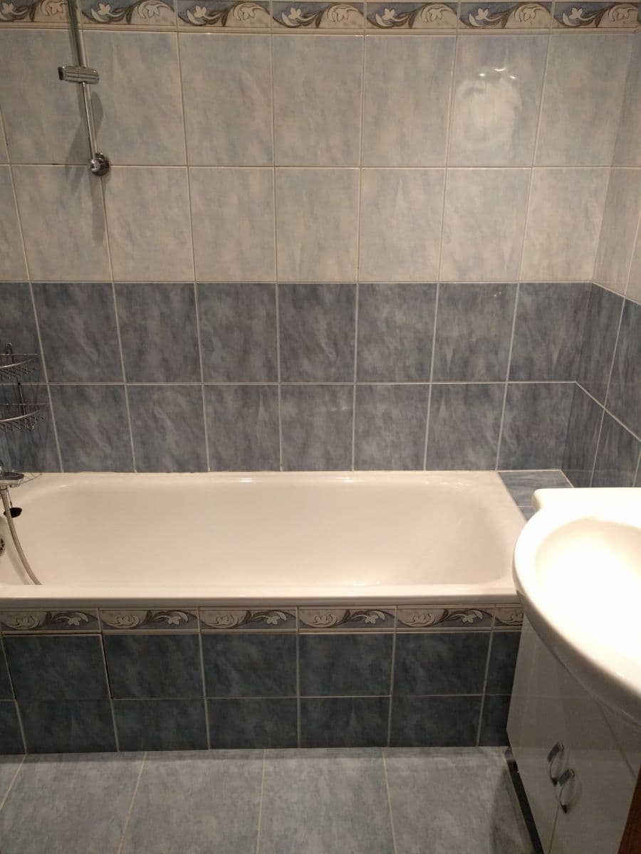 1 bedroom with open-plan kitchen flat to rent, 49 m², Dolní, Prague, Prague 1 bedroom with open-plan kitchen flat to rent, 49 m², Dolní, Prague, Prague