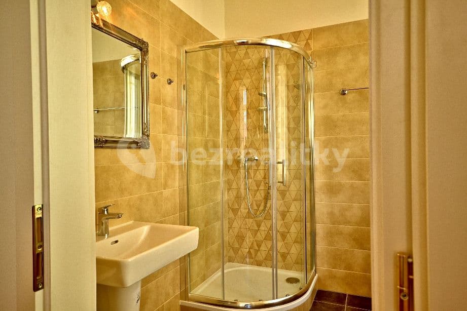 1 bedroom with open-plan kitchen flat to rent, 60 m², Zborovská, Prague, Prague 1 bedroom with open-plan kitchen flat to rent, 60 m², Zborovská, Prague, Prague