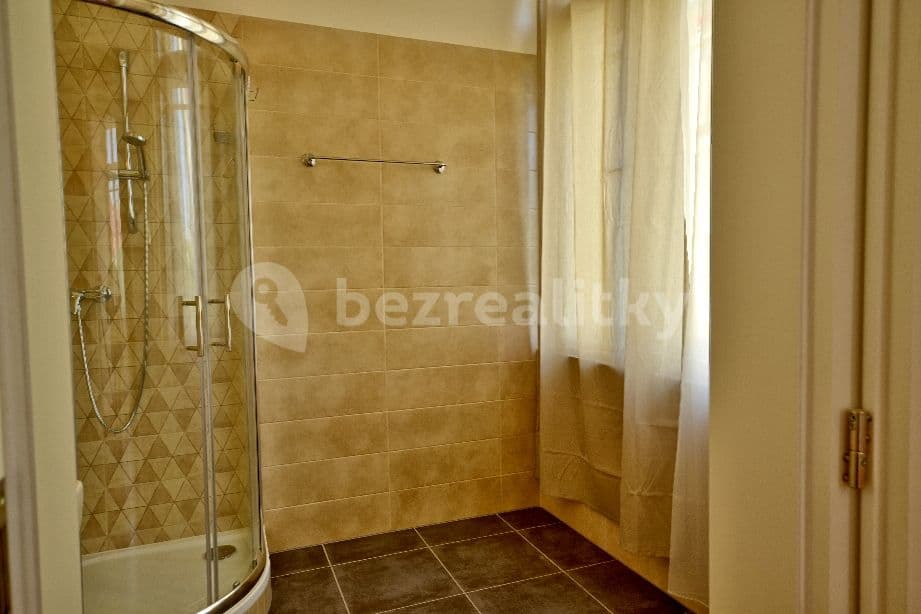 1 bedroom with open-plan kitchen flat to rent, 60 m², Zborovská, Prague, Prague 1 bedroom with open-plan kitchen flat to rent, 60 m², Zborovská, Prague, Prague