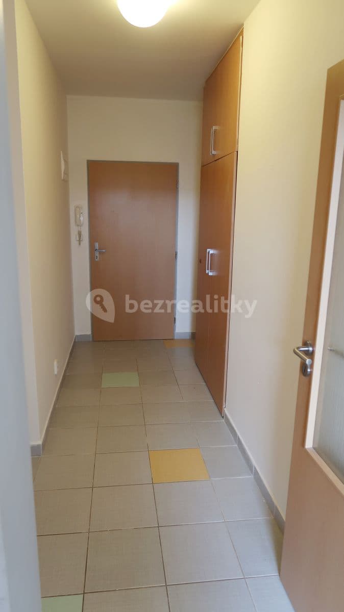 Studio flat to rent, 41 m², Neklež, Brno, Jihomoravský Region Studio flat to rent, 41 m², Neklež, Brno, Jihomoravský Region